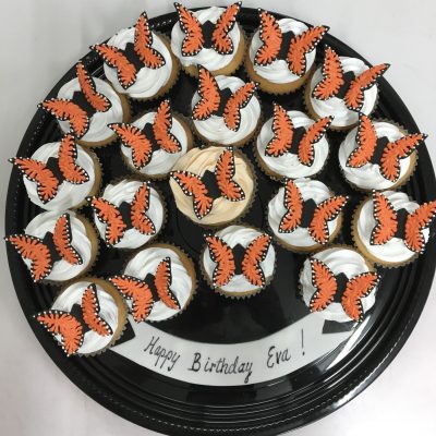 butterfly cupcakes